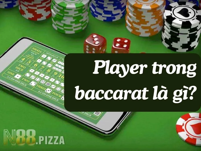 Player trong baccarat là gì?