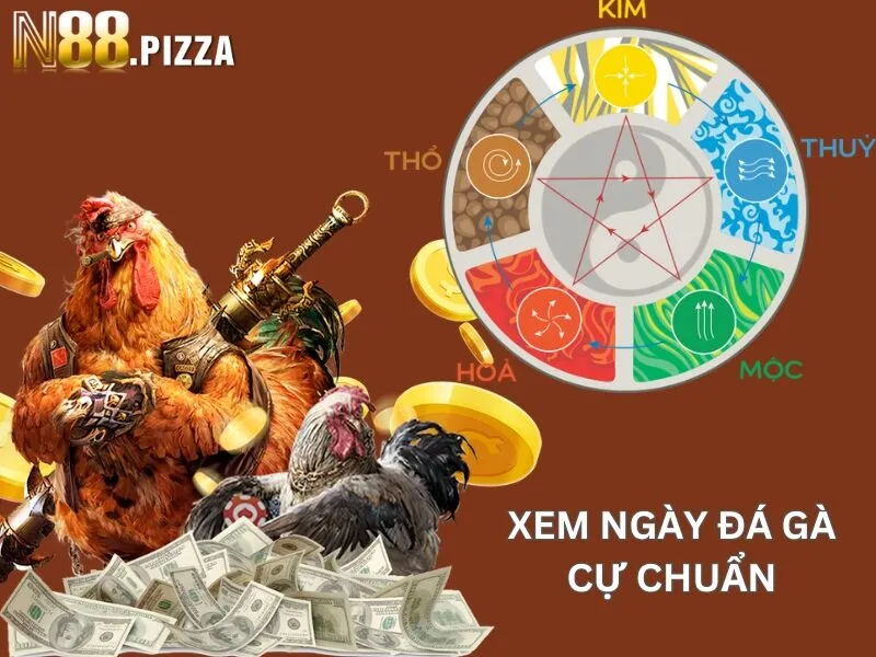 Xem ngày đá gà cực chuẩn