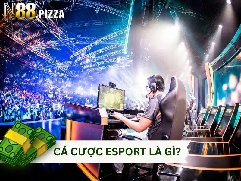 Cá cược Esport là gì?